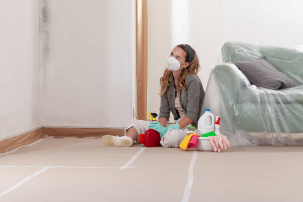 Reliable Commercial Mold Remediation contractor in Cottage Grove, MN by WQB Mold Removal